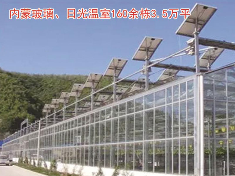 內蒙玻璃、日光溫室160余棟3